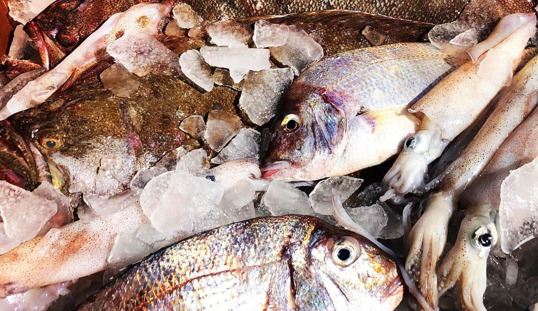 Fresh Seafood